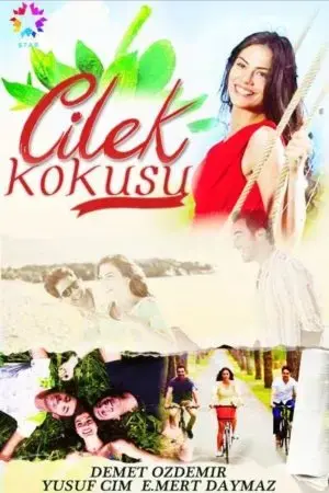 Cilek Kokusu Cilek Kokusu