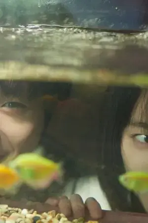 Huyền Thoại Hắc Kim Thôn Huyền Thoại Hắc Kim Thôn