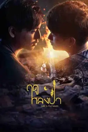 Mùa Lạc Trong Rừng Mùa Lạc Trong Rừng