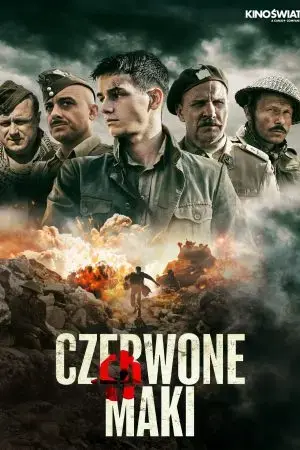 Red Poppies Red Poppies