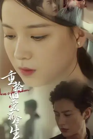 Tái Ngộ Tình Yêu Cũ Kiếp Này